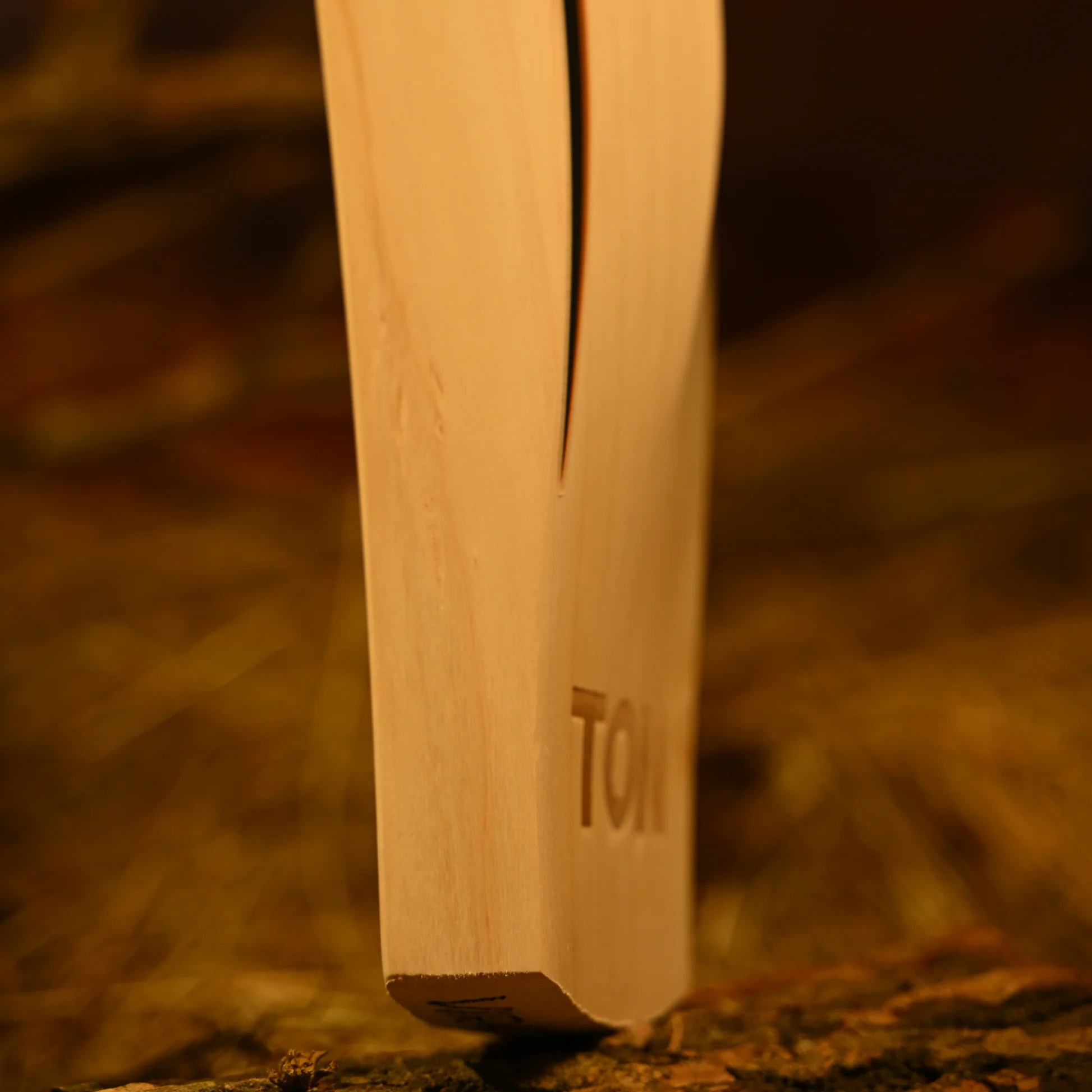 SS Cricket Bat Hunter