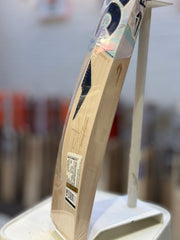 DSC Cricket Bat Player Edition