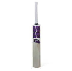 SS Cricket Bat Master 500