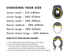 Masuri Cricket Helmet TF3D T Line