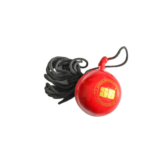 SS Cricket Ball Hanging