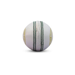 SWAR Cricket Balls Tournament