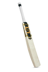 Somi Cricket Bat Vision