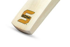 Somi Cricket Bat Vision