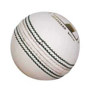 SG Test LE White Cricket Leather Ball