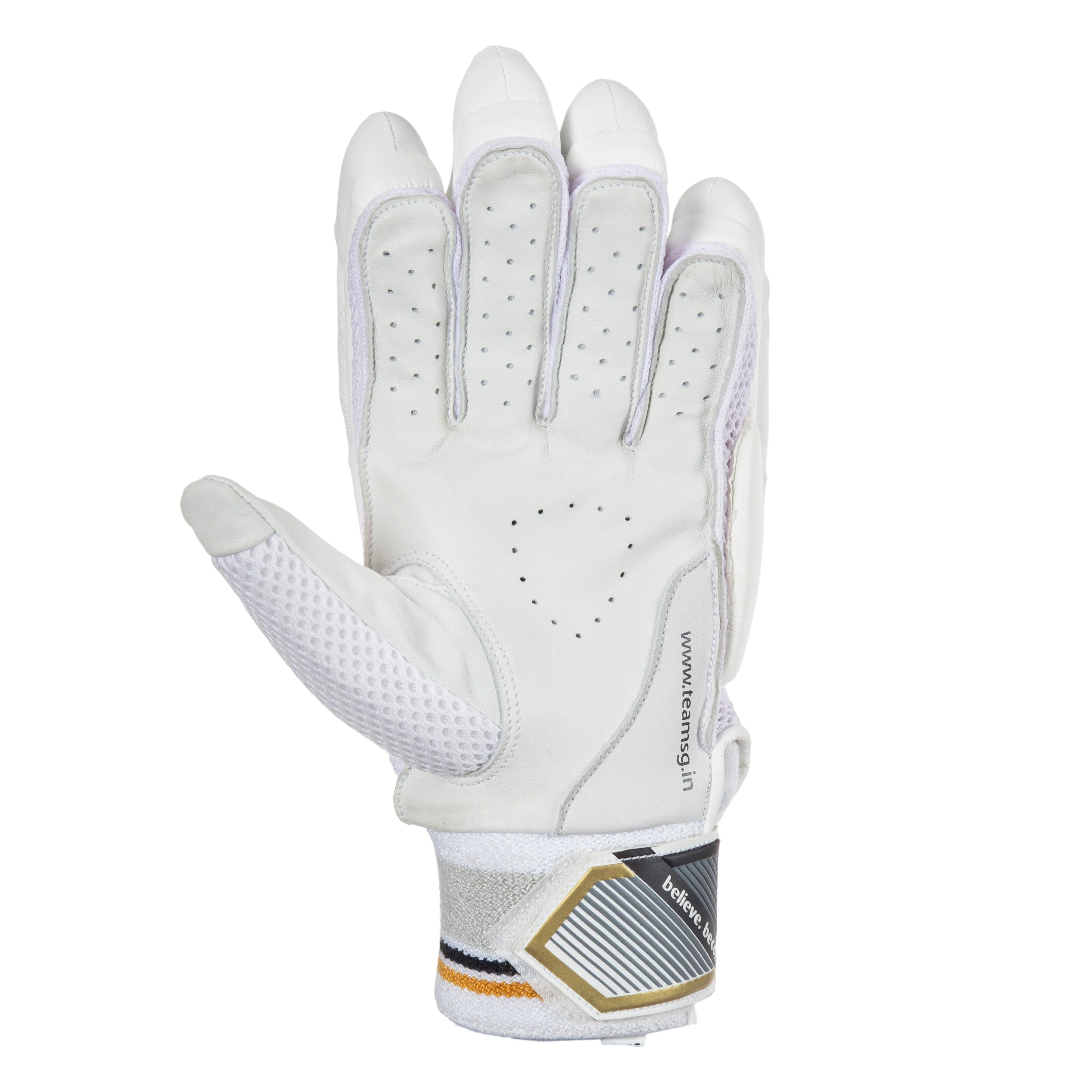 SG Batting Gloves Test Pro
