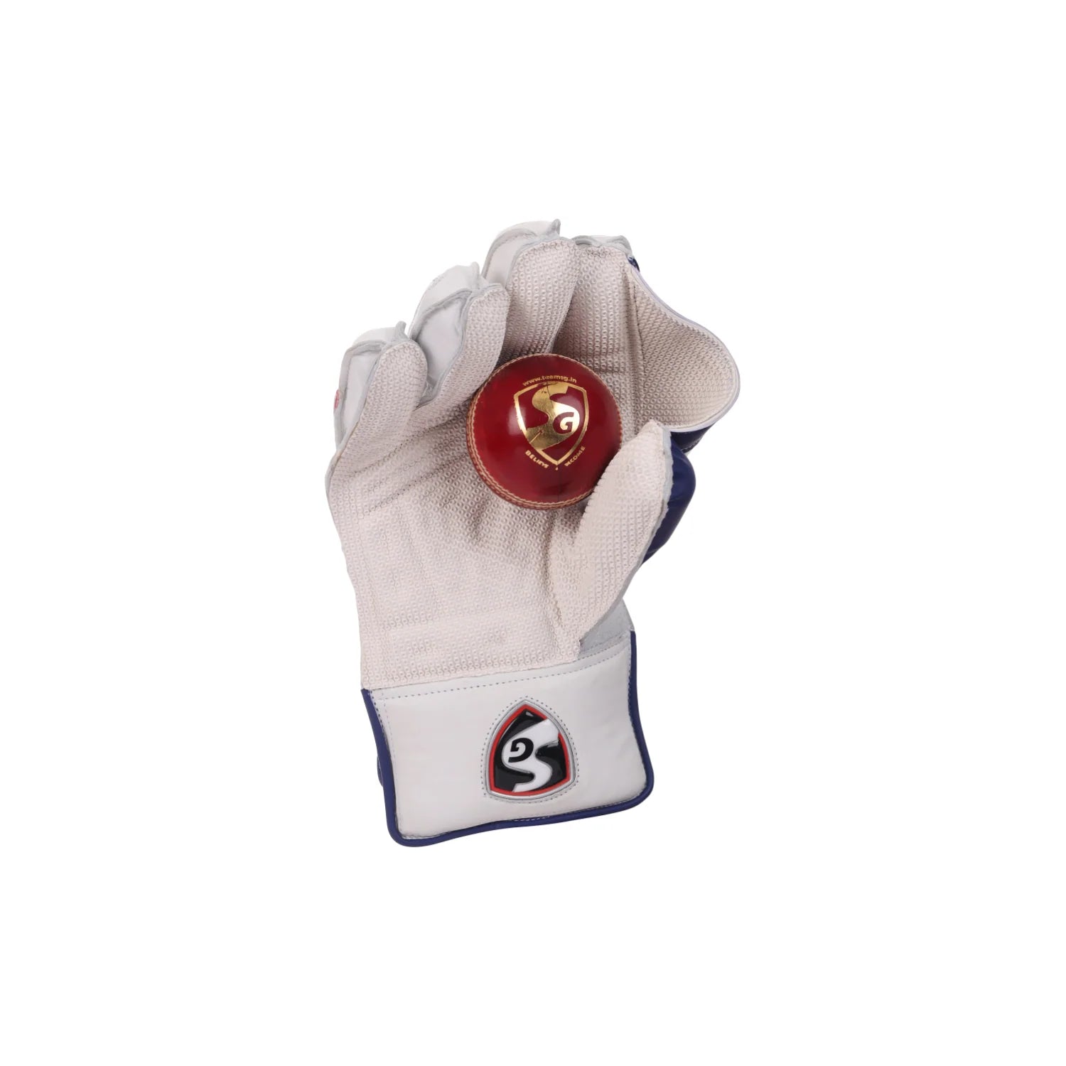 SG Wicket Keeping Gloves KLR 1
