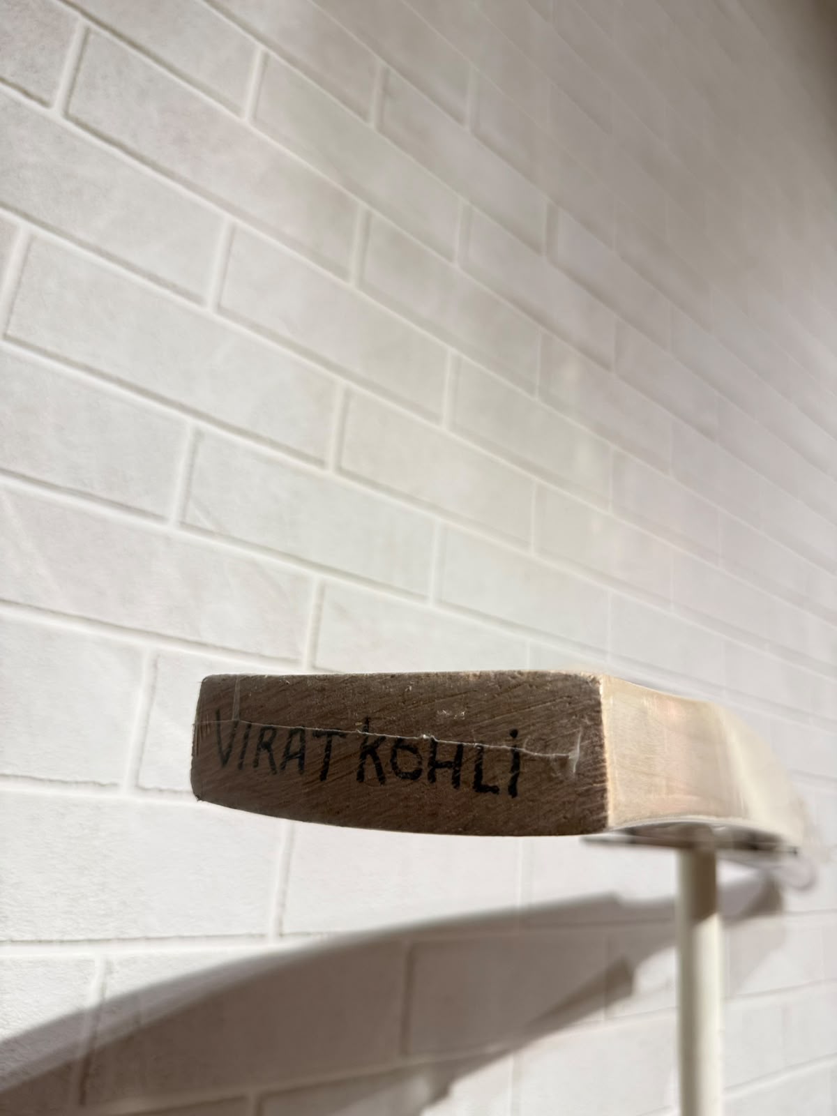 SS Cricket Bat Gunther