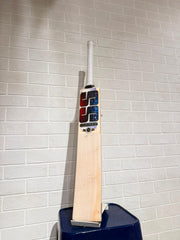 SS Cricket Bat Gunther