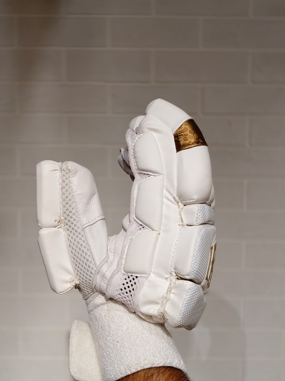 SWAR Batting Gloves Test
