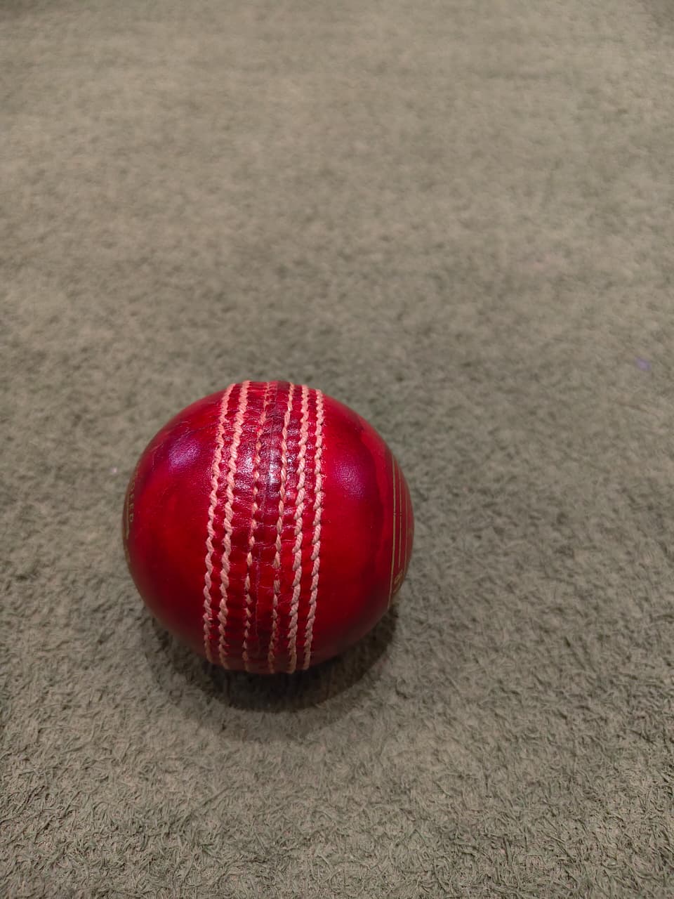SWAR Cricket Balls Swinger