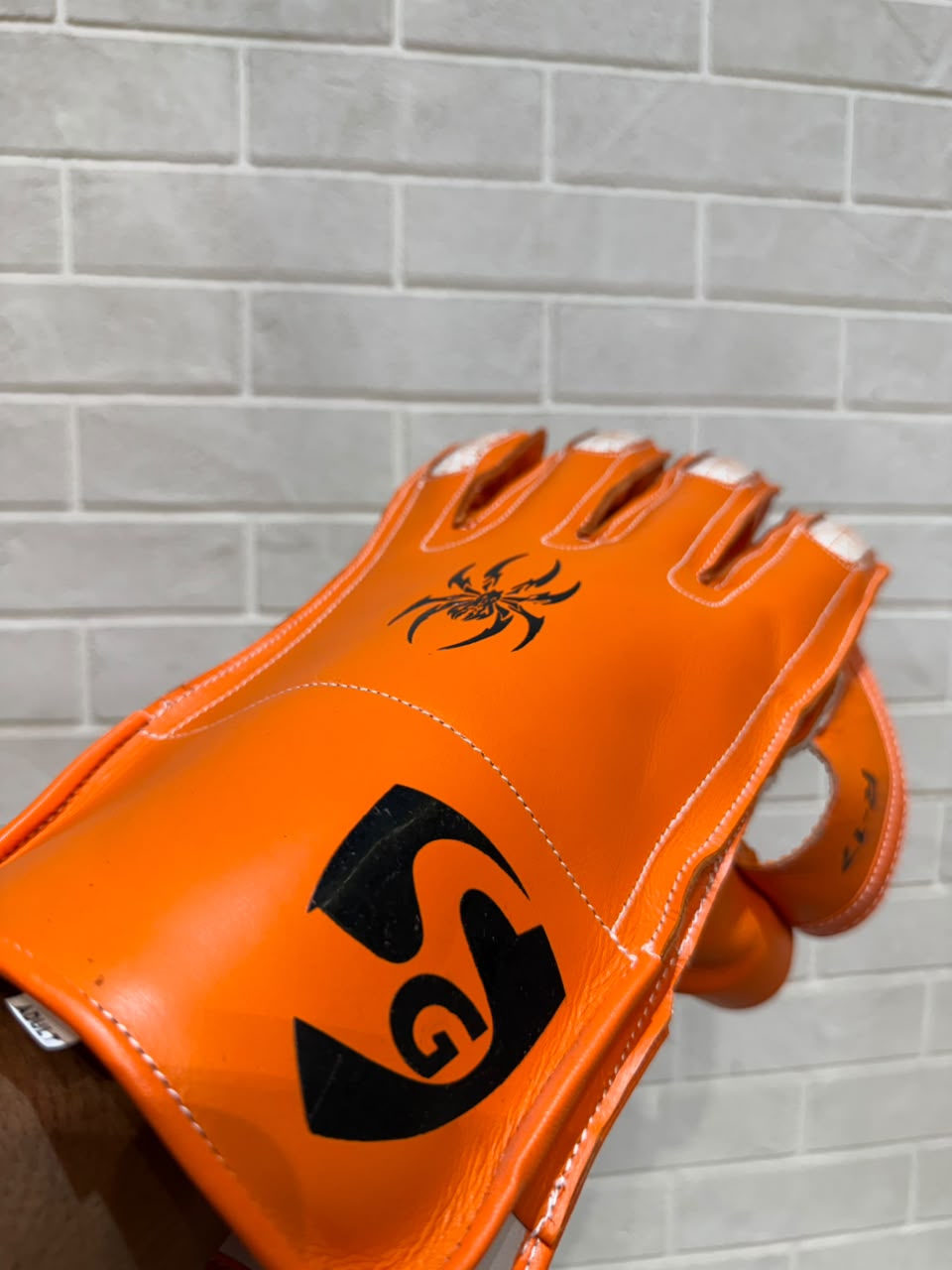 SG Wicket Keeping Gloves RP 17