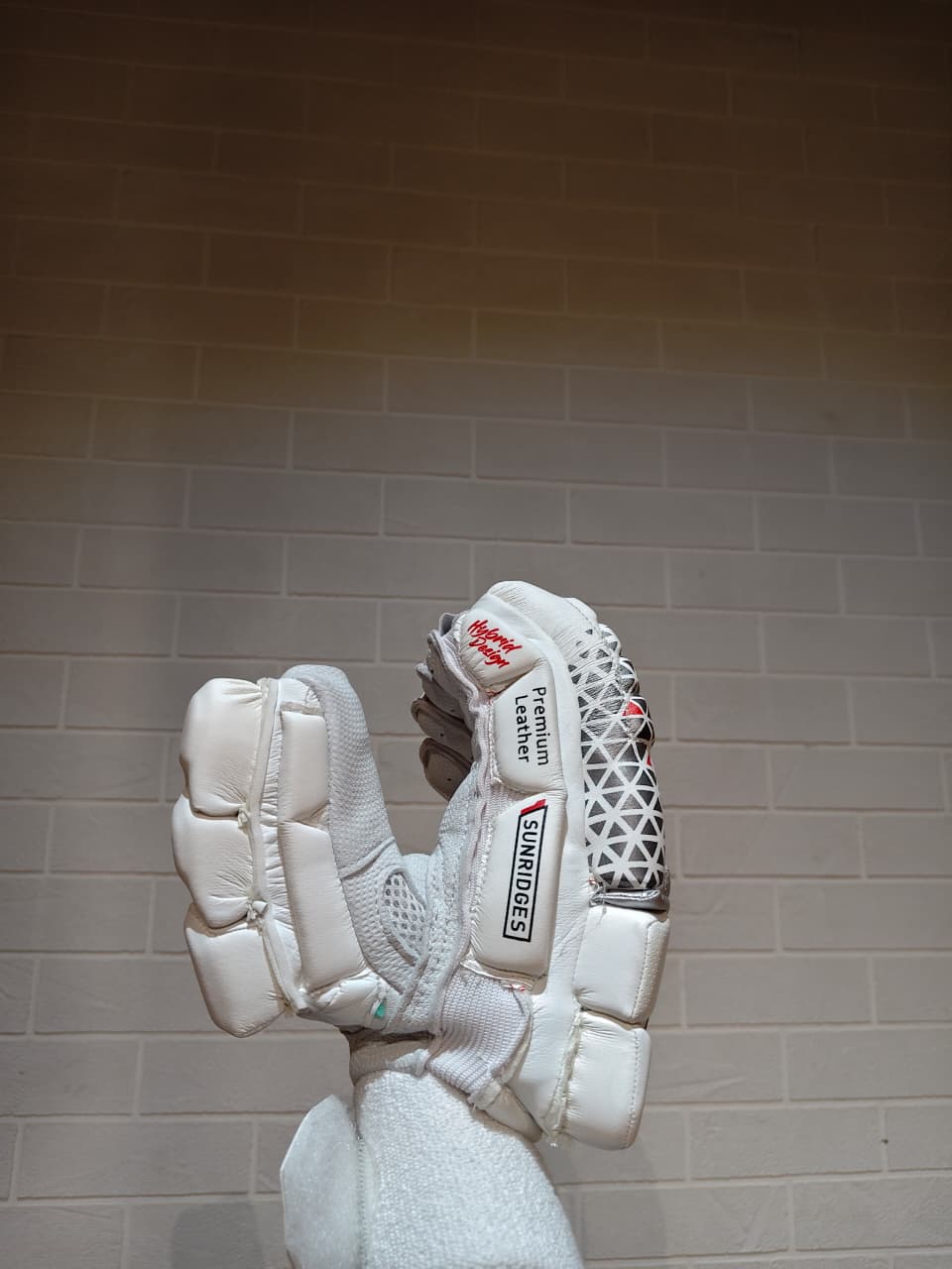 SS Batting Gloves  Player (HYBRID)