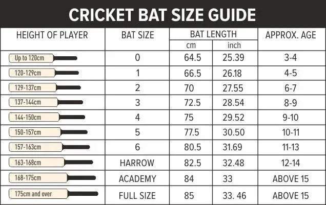DSC Cricket Bat Condor Atmos
