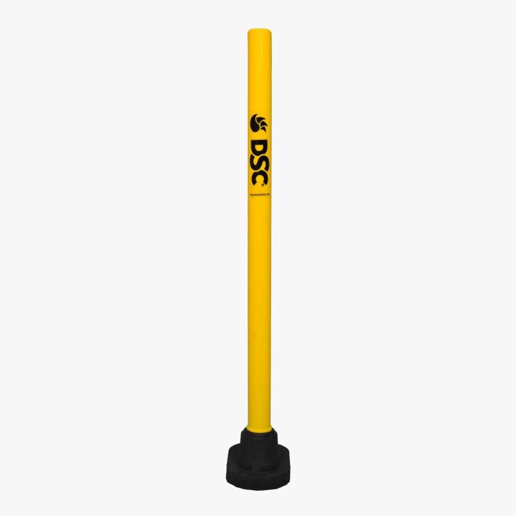 DSC Cricket Stumps Target