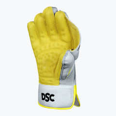 DSC Wicket Keeping Gloves Flite