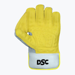 DSC Wicket Keeping Gloves Flite