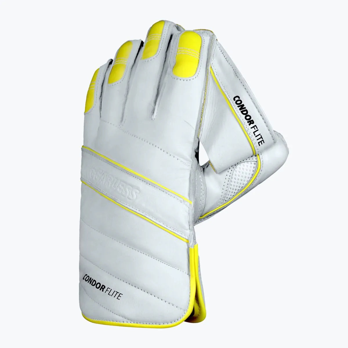 DSC Wicket Keeping Gloves Flite