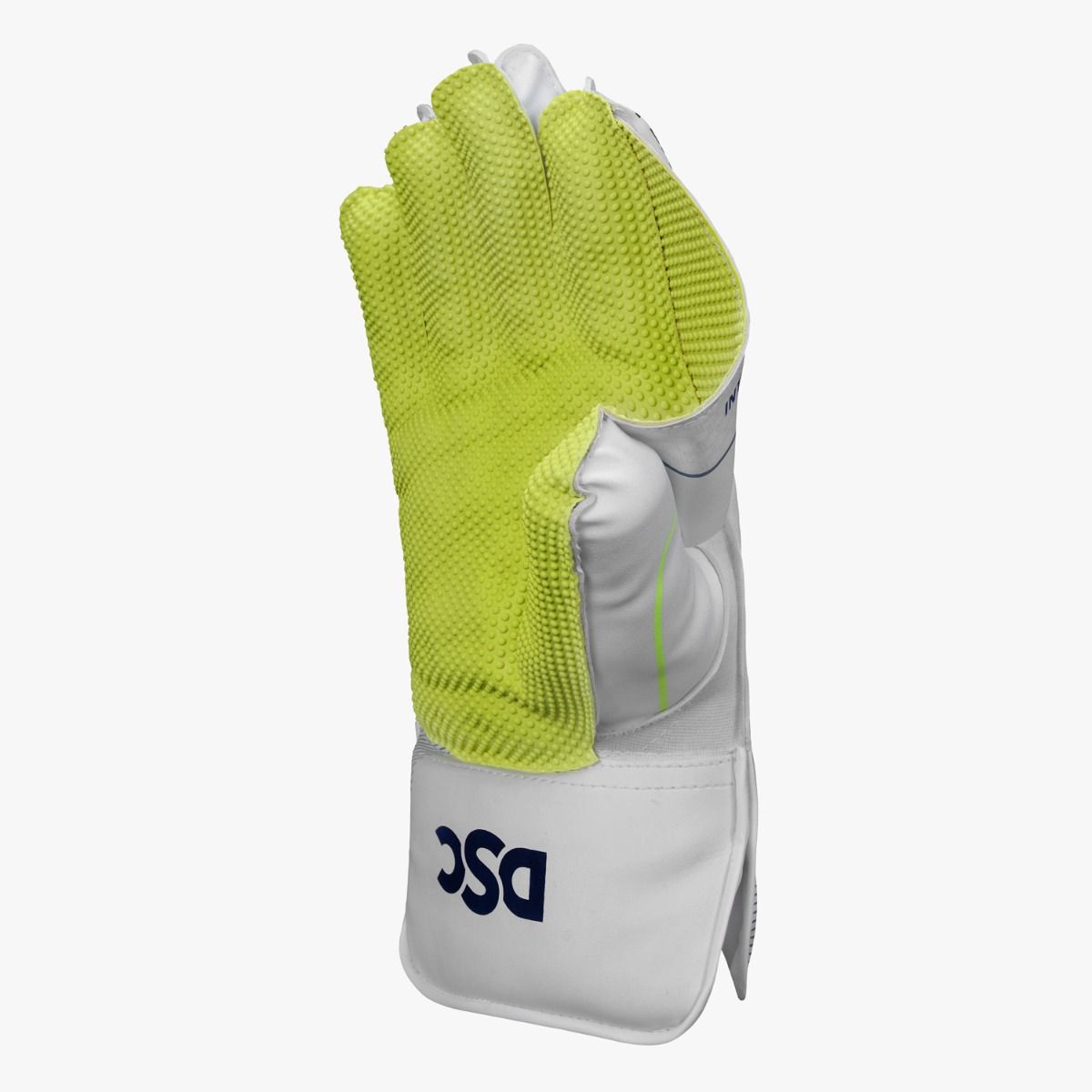 DSC Intense Attitude Wicket Keeping Gloves