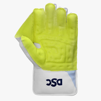 DSC Intense Attitude Wicket Keeping Gloves