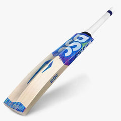 DSC Cricket Bat 100