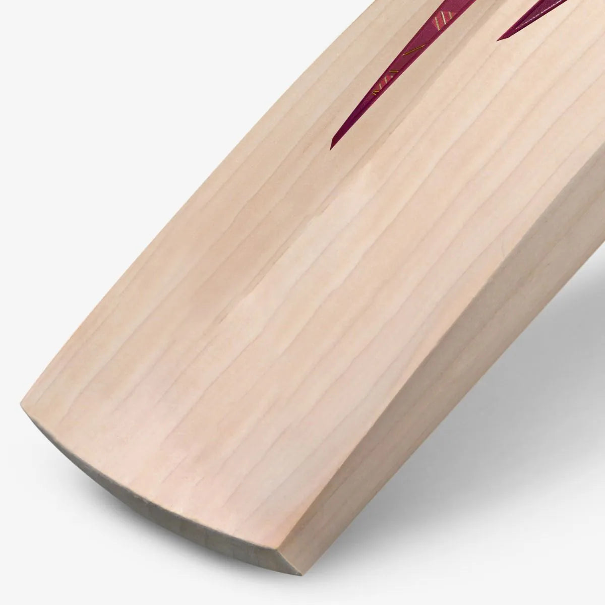 DSC Cricket Bat Condor Glider