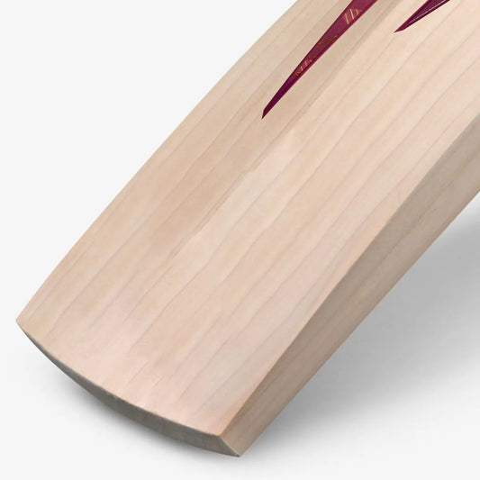 DSC Cricket Bat Condor Surge