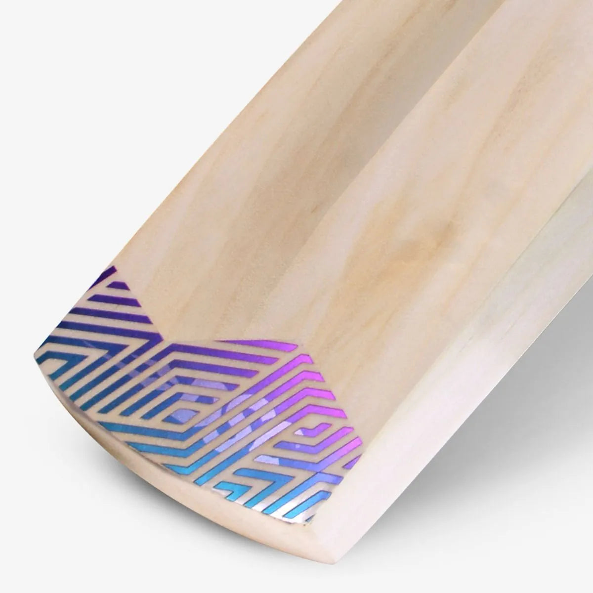 DSC Cricket Bat RS Exclusive