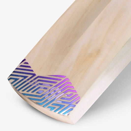 DSC Cricket Bat RS Exclusive