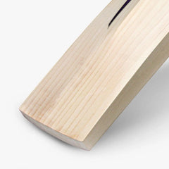 DSC Cricket Bat RS 080