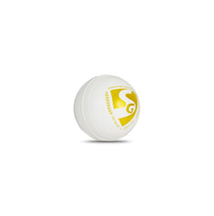 SG Cricket Ball Everlast Tec