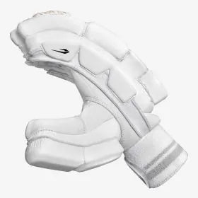 DSC Batting Gloves Flite