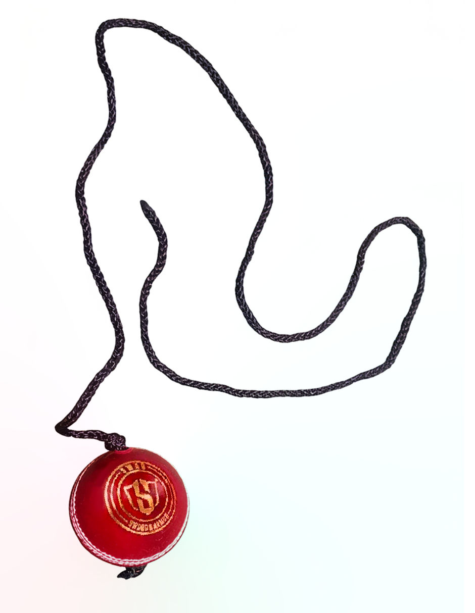 SWAR Hanging Ball