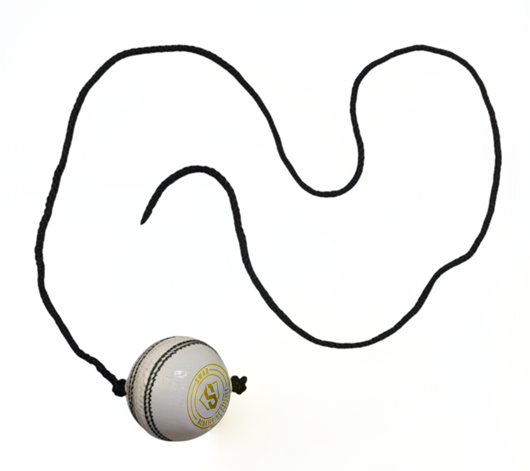 SWAR Hanging Ball