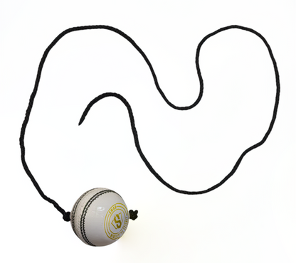 SWAR Hanging Ball