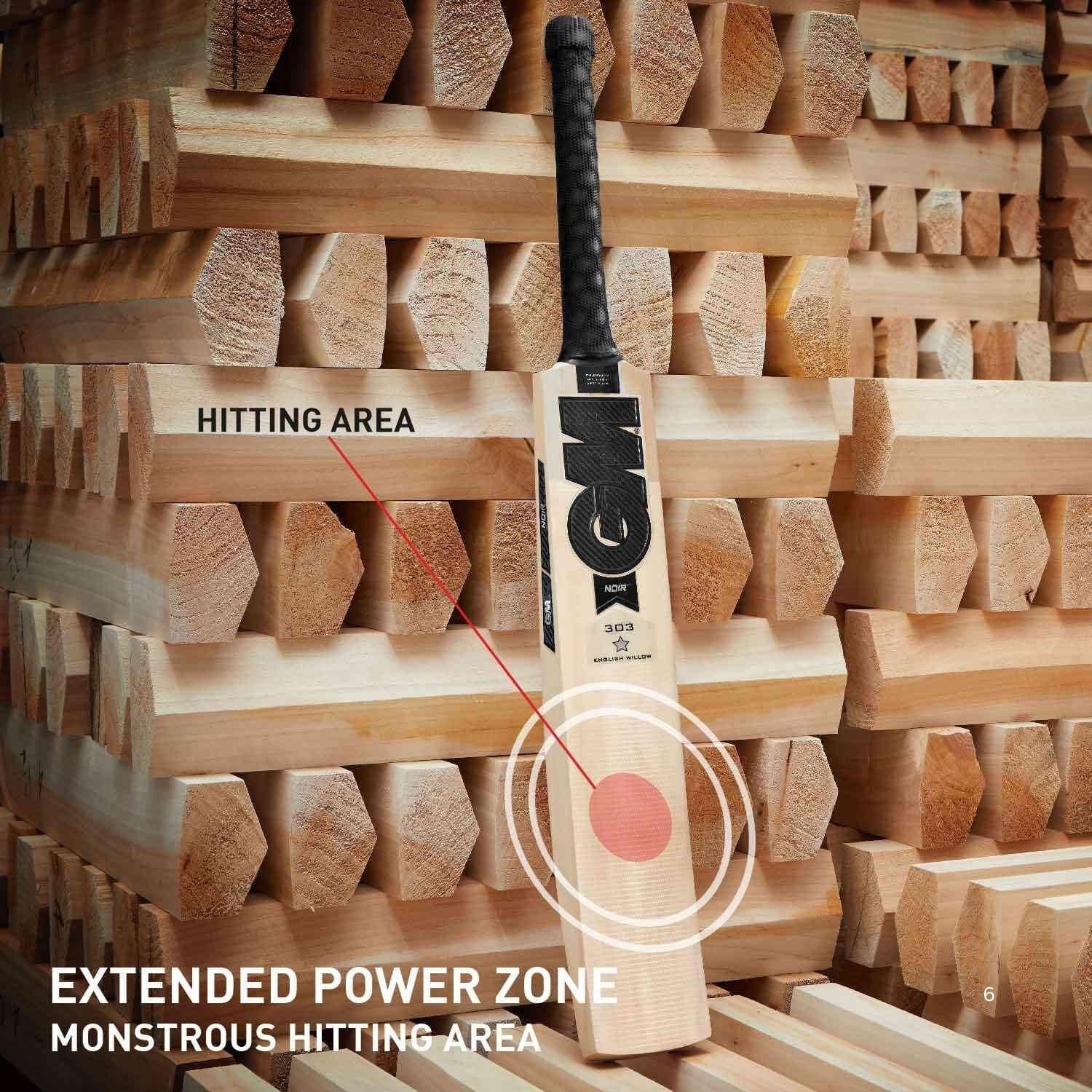 GM Cricket Bat Maxi 303
