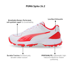 PUMA Cricket Shoes Spike 24.2