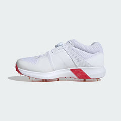 ADIDAS Cricket Shoes Vector 20