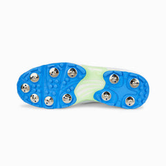 PUMA Cricket Shoes Spike 22.2