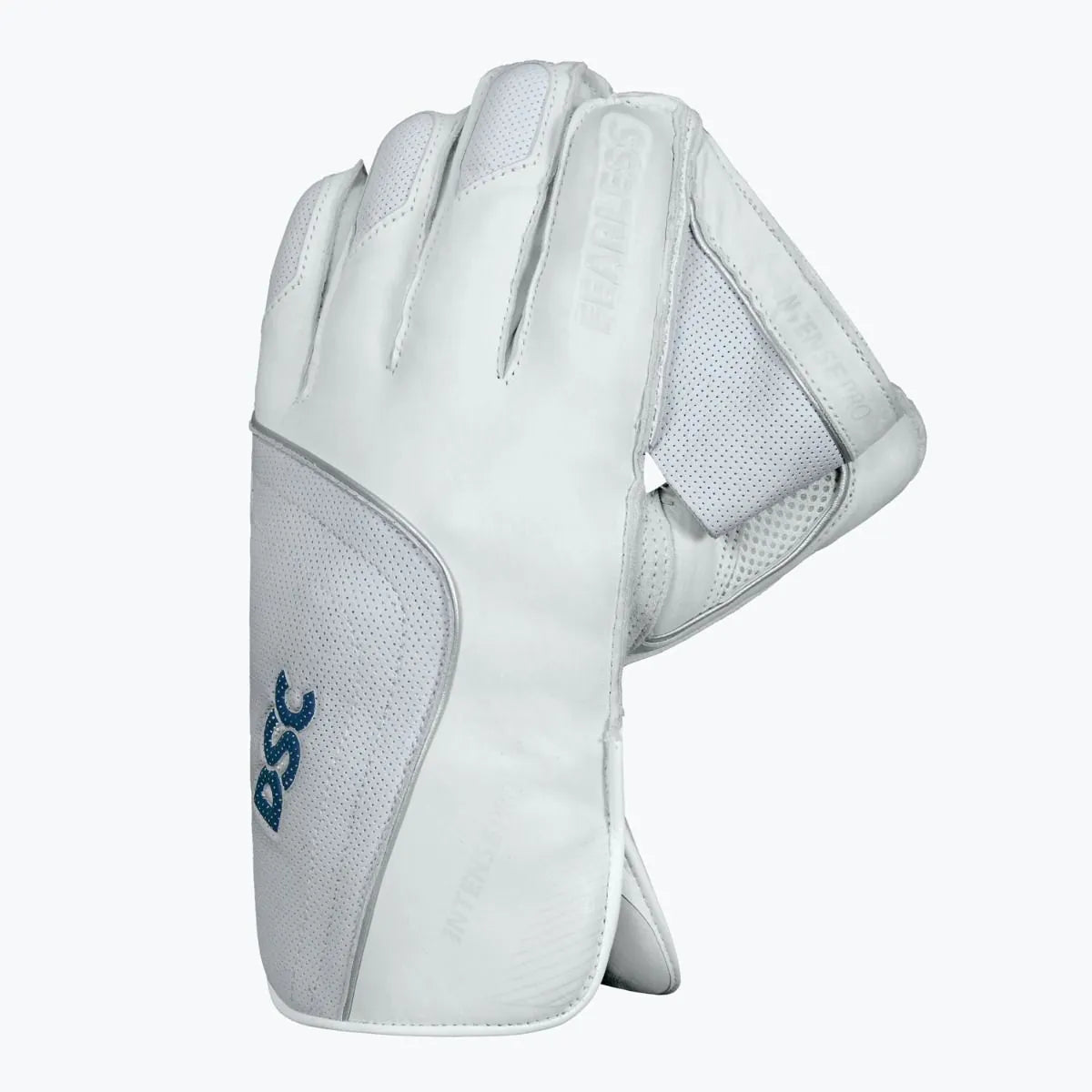 DSC Wicket Keeping Gloves Pro