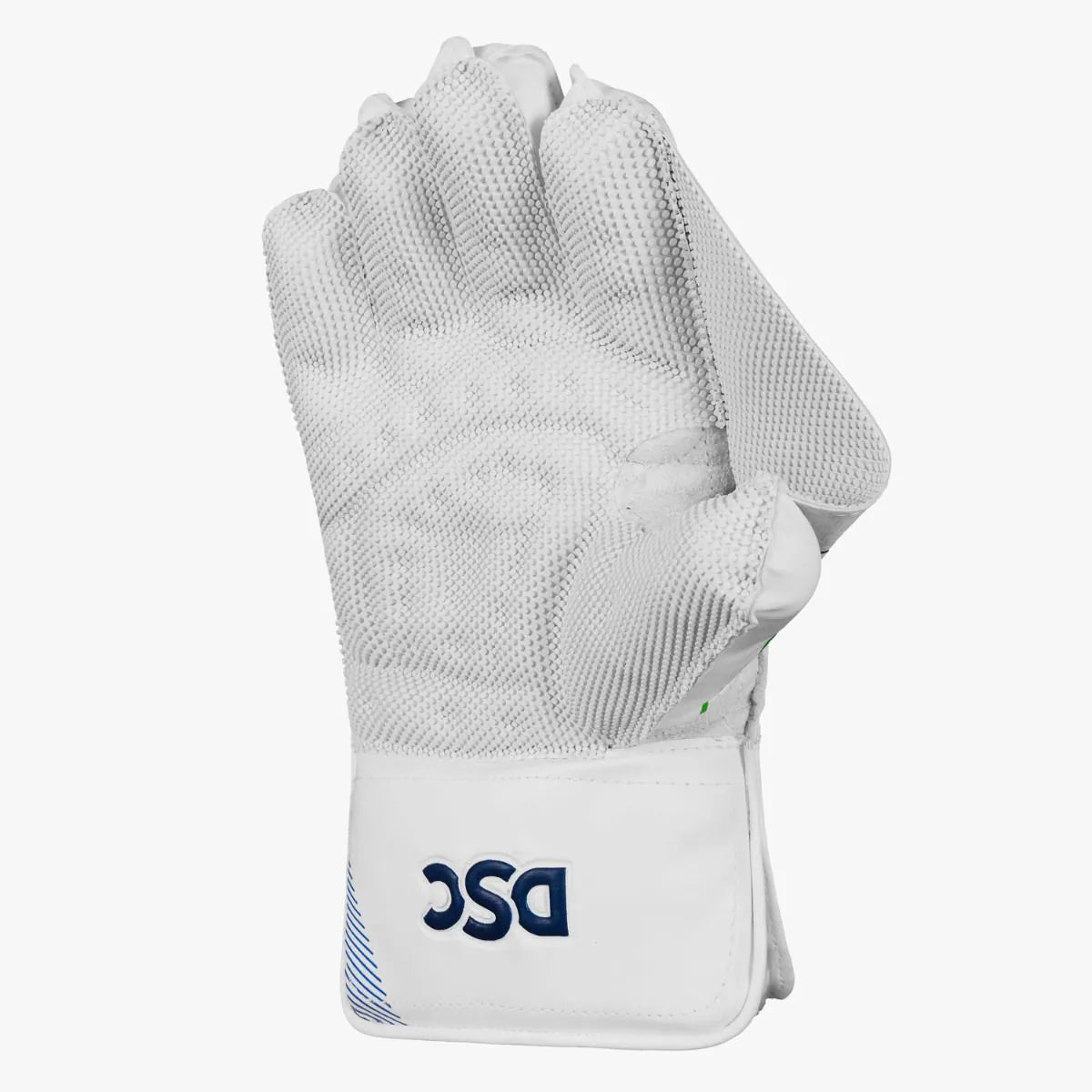 DSC Wicket Keeping Gloves Shoc