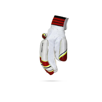 SF College Batting Gloves