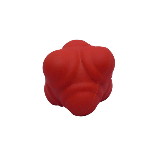 SS Cricket Ball Reaction