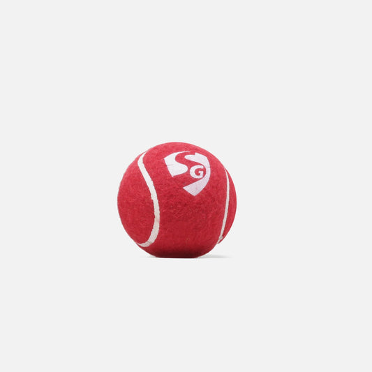SG Cricket Ball Club Lite
