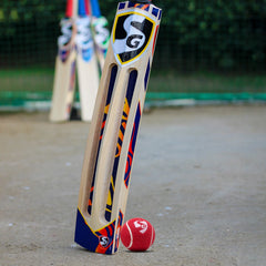SG Cricket Ball Club Heavy