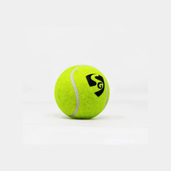 SG Cricket Ball Club Lite